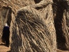 IMG_1904