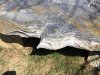 IMG_1913