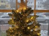 IMG_1740