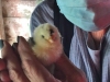 IMG_3051-2