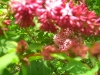 CIMG7455
