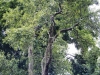 dscf9168