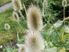 dscf9183