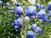 dscf9192