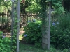 IMG_0946