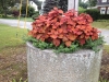 upper-green-barrel-fall-2013
