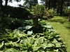 8-York-ME-June-2012